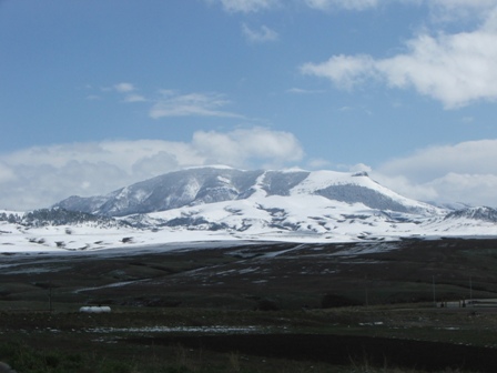 DSCF4915.JPG Image