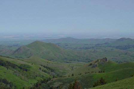 pic4.jpg Image