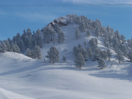 pic7_2_.jpg Image