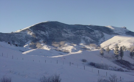 pic9.jpg Image