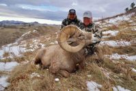 Big_Horn_on_Rocky_Boys_2.jpeg Image