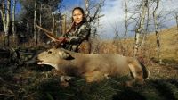 Dandy_Mule_Deer.jpeg Image