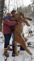 Hound_Hunting_Big_Cats.jpeg Image