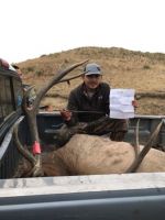 Nice_Archery_Elk.jpeg Image