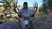 Trophy_Mule_Deer_on_Rocky_Boys.jpeg Image