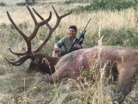 Velvet_Bull_Harvest.jpeg Image