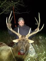 Wes_Kirn_Bull_2.jpg Image